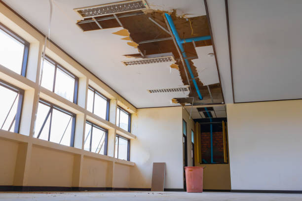 Best Commercial water damage restoration  in Kilgore, TX