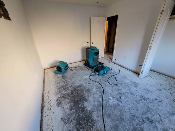 Best 24/7 water damage repair  in Kilgore, TX