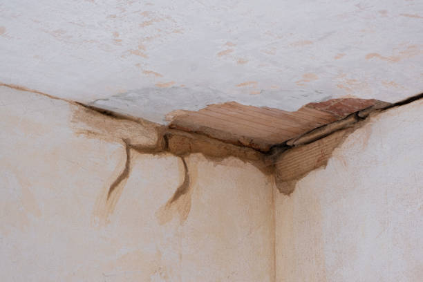 Best 24-hour water damage restoration  in Kilgore, TX