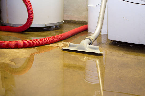 Water damage restoration experts in Kilgore, TX