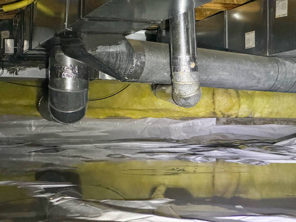 Best Water damage cleanup near me  in Kilgore, TX