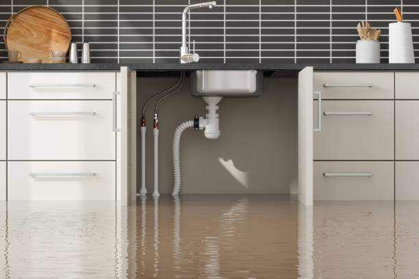 Best Local water damage restoration  in Kilgore, TX