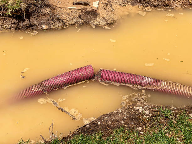 Professional Water damage restoration in Kilgore, TX
